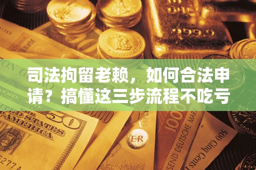武汉司法拘留老赖，如何合法申请？搞懂这三步流程不吃亏！