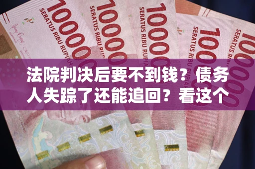 武汉法院判决后要不到钱？债务人失踪了还能追回？看这个方法！