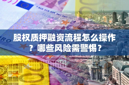 武汉股权质押融资流程怎么操作？哪些风险需警惕？