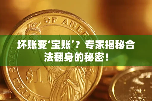 武汉坏账变‘宝账’？专家揭秘合法翻身的秘密！