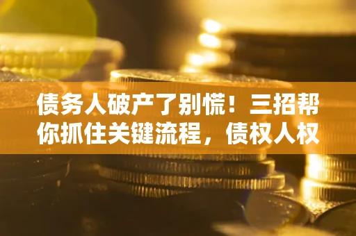 武汉债务人破产了别慌！三招帮你抓住关键流程，债权人权益不再缩水