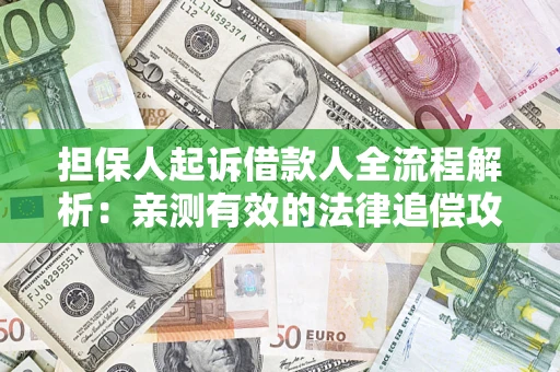 武汉担保人起诉借款人全流程解析：亲测有效的法律追偿攻略