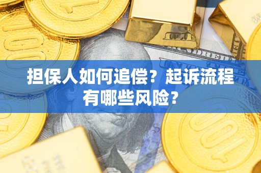 武汉担保人如何追偿？起诉流程有哪些风险？