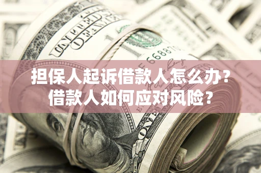武汉担保人起诉借款人怎么办？借款人如何应对风险？