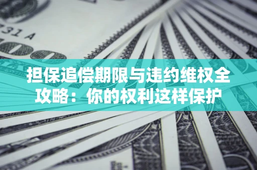 武汉担保追偿期限与违约维权全攻略：你的权利这样保护