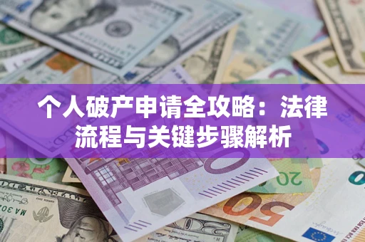 武汉个人破产申请全攻略：法律流程与关键步骤解析